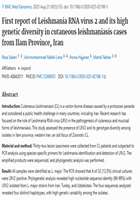 First report of Leishmania RNA virus 2 and its high genetic diversity in cutaneous leishmaniasis cases from Ilam Province, Iran