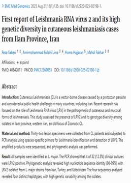 First report of Leishmania RNA virus 2 and its high genetic diversity in cutaneous leishmaniasis cases from Ilam Province, Iran
